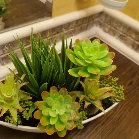 Royal Sea G Apartamento *